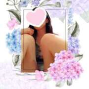 ヒメ日記 2025/03/15 13:26 投稿 ふたば ZERO-i