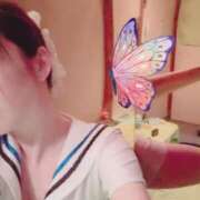 ヒメ日記 2025/07/25 11:16 投稿 ふたば ZERO-i