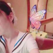 ヒメ日記 2025/08/28 14:06 投稿 ふたば ZERO-i