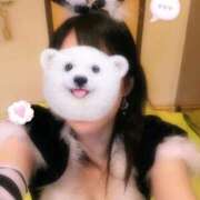 ヒメ日記 2025/10/21 12:16 投稿 ふたば ZERO-i