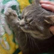 ふたば ZEROの日♡ ZERO-i