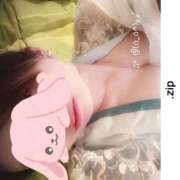 ヒメ日記 2026/05/03 11:06 投稿 ふたば ZERO-i
