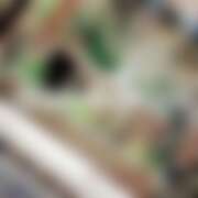 ヒメ日記 2026/01/10 05:18 投稿 わかば エンジェルシリカ