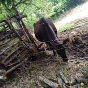 ヒメ日記 2025/06/07 12:00 投稿 高橋★ プリマドンナ