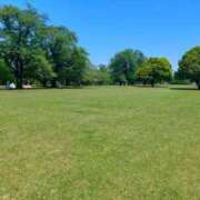 ヒメ日記 2025/06/11 12:00 投稿 高橋★ プリマドンナ