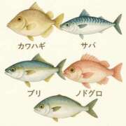 ヒメ日記 2025/10/27 12:47 投稿 高橋★ プリマドンナ