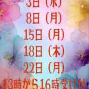 ヒメ日記 2025/11/29 11:47 投稿 高橋★ プリマドンナ