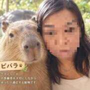 ヒメ日記 2026/09/23 15:22 投稿 まりあ 熟女の風俗最終章 池袋店
