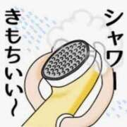 ヒメ日記 2025/04/30 00:34 投稿 まお 水戸人妻花壇