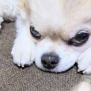 ヒメ日記 2025/05/04 03:34 投稿 まお 水戸人妻花壇