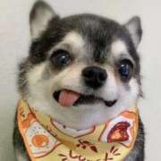 ヒメ日記 2025/05/15 12:40 投稿 まお 水戸人妻花壇