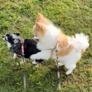 ヒメ日記 2025/05/20 01:03 投稿 まお 水戸人妻花壇