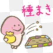 ヒメ日記 2025/05/25 02:49 投稿 まお 水戸人妻花壇