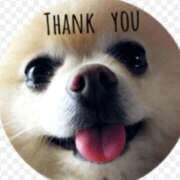 ヒメ日記 2025/05/28 18:52 投稿 まお 水戸人妻花壇