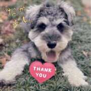 ヒメ日記 2025/05/29 00:04 投稿 まお 水戸人妻花壇