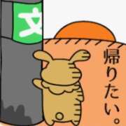 ヒメ日記 2025/05/29 00:18 投稿 まお 水戸人妻花壇