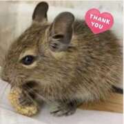 ヒメ日記 2025/05/30 05:28 投稿 まお 水戸人妻花壇