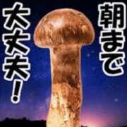 ヒメ日記 2025/06/07 03:00 投稿 まお 水戸人妻花壇