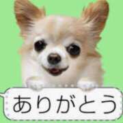 ヒメ日記 2025/06/20 01:51 投稿 まお 水戸人妻花壇