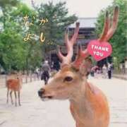 ヒメ日記 2025/07/09 04:21 投稿 まお 水戸人妻花壇