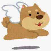 ヒメ日記 2025/07/17 01:02 投稿 まお 水戸人妻花壇