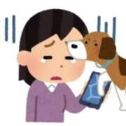 ヒメ日記 2025/07/19 06:56 投稿 まお 水戸人妻花壇