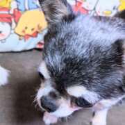 ヒメ日記 2025/07/21 13:15 投稿 まお 水戸人妻花壇