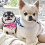 ヒメ日記 2025/07/21 15:27 投稿 まお 水戸人妻花壇