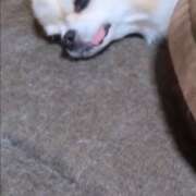 ヒメ日記 2025/07/23 10:01 投稿 まお 水戸人妻花壇