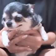 ヒメ日記 2025/07/24 09:31 投稿 まお 水戸人妻花壇