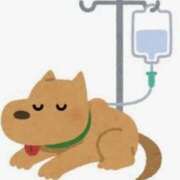 ヒメ日記 2025/07/25 14:36 投稿 まお 水戸人妻花壇