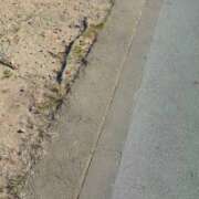 ヒメ日記 2025/07/29 16:55 投稿 まお 水戸人妻花壇