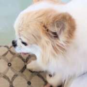 ヒメ日記 2025/08/01 12:10 投稿 まお 水戸人妻花壇