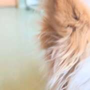 ヒメ日記 2025/08/03 09:31 投稿 まお 水戸人妻花壇