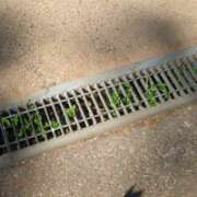 ヒメ日記 2025/08/03 19:27 投稿 まお 水戸人妻花壇