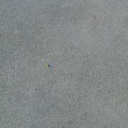 ヒメ日記 2025/08/06 12:07 投稿 まお 水戸人妻花壇