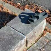 ヒメ日記 2025/12/26 17:36 投稿 まお 水戸人妻花壇