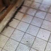 ヒメ日記 2025/12/28 19:06 投稿 まお 水戸人妻花壇