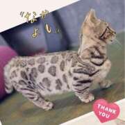 ヒメ日記 2026/01/23 04:18 投稿 まお 水戸人妻花壇