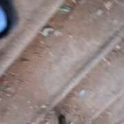 ヒメ日記 2026/01/24 10:08 投稿 まお 水戸人妻花壇