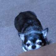 ヒメ日記 2026/02/01 09:06 投稿 まお 水戸人妻花壇