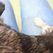 ヒメ日記 2026/02/02 19:37 投稿 まお 水戸人妻花壇