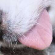 ヒメ日記 2026/02/12 18:11 投稿 まお 水戸人妻花壇