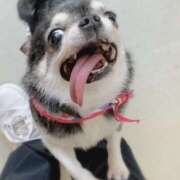 ヒメ日記 2026/02/13 16:04 投稿 まお 水戸人妻花壇