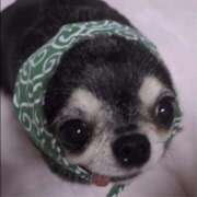 ヒメ日記 2026/02/15 12:02 投稿 まお 水戸人妻花壇