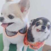 ヒメ日記 2026/02/22 12:07 投稿 まお 水戸人妻花壇