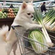 ヒメ日記 2026/02/23 09:07 投稿 まお 水戸人妻花壇