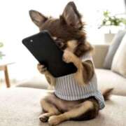 ヒメ日記 2026/02/25 01:51 投稿 まお 水戸人妻花壇