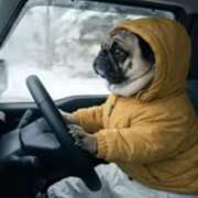 ヒメ日記 2026/02/25 17:43 投稿 まお 水戸人妻花壇