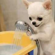 ヒメ日記 2026/02/26 11:51 投稿 まお 水戸人妻花壇